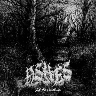 Into the Woodlands by Ashes - album cover