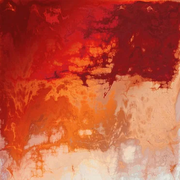 Caught Up in the Fire