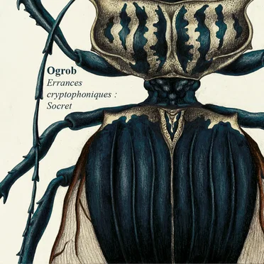 Errances Cryptophoniques: Socret by Ogrob - album cover