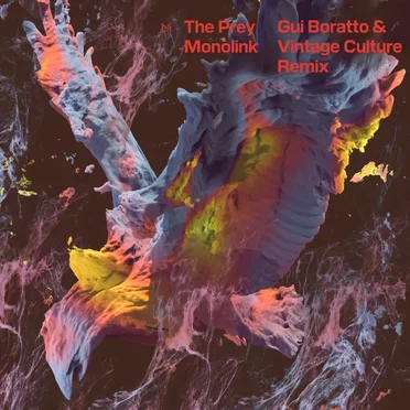The Prey (Gui Boratto & Vintage Culture remix)