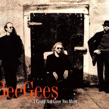 I Could Not Love You More