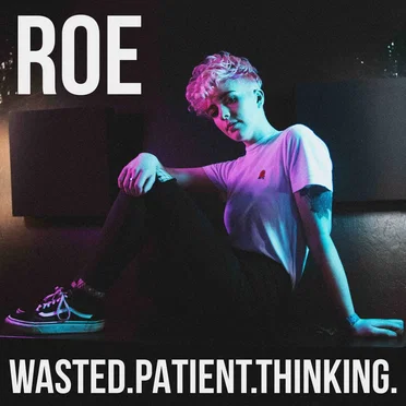 Wasted.Patient.Thinking. by ROE - album cover