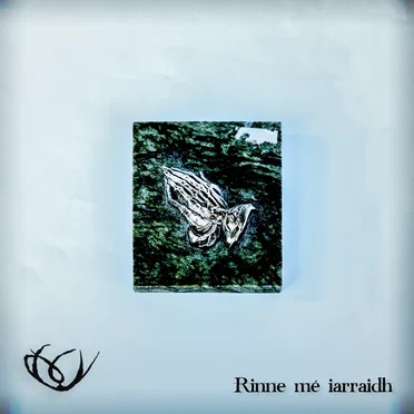 Rinne mé iarraidh by Fós - album cover