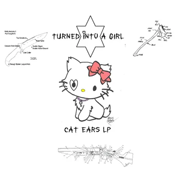 cat ears LP by turned into a girl - album cover