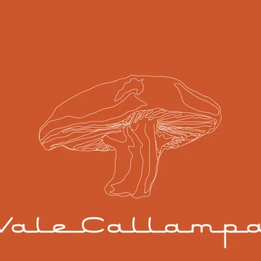 Vale callampa