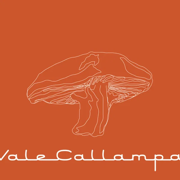 Vale callampa