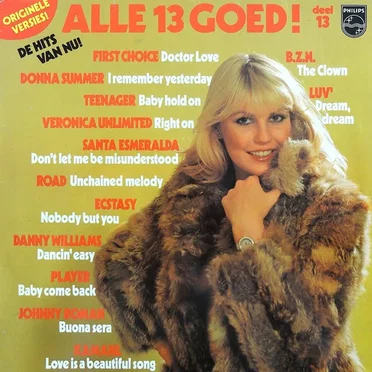 Alle 13 goed! Deel 13 by Various Artists - album cover