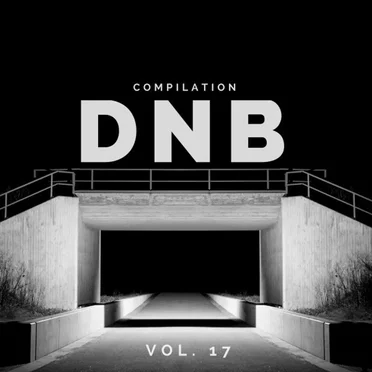 DnB Music Compilation, Vol. 17 by Various Artists - album cover