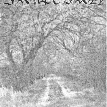 Bruises by Dark Sanctuary - album cover