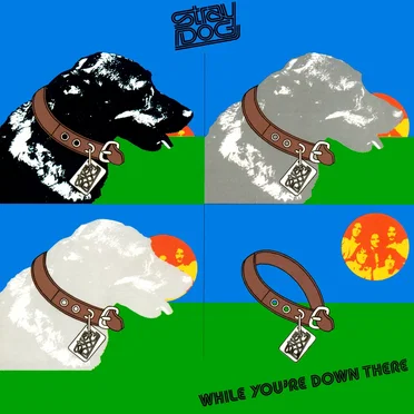 While You’re Down There