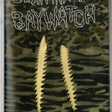 Reptile Roommate by Guantanamo Baywatch - album cover