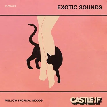 Exotic Sounds by Castle If - album cover