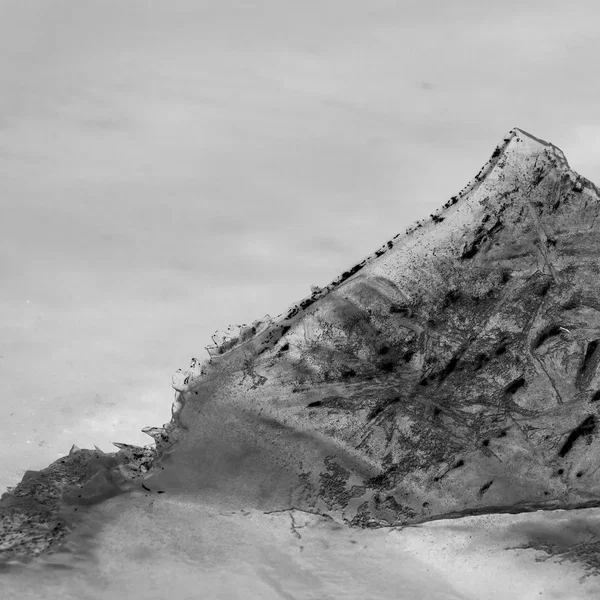 黑羊 / The Black Goat