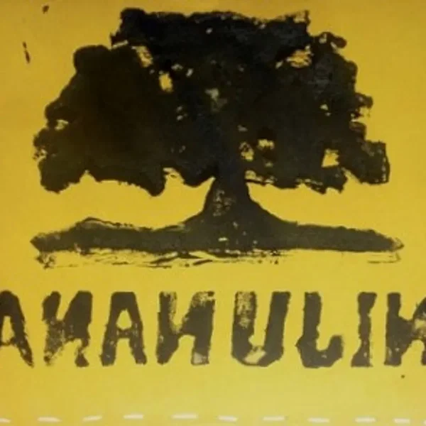 Ananujin