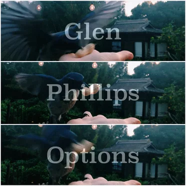Options