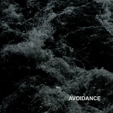 Avoidance