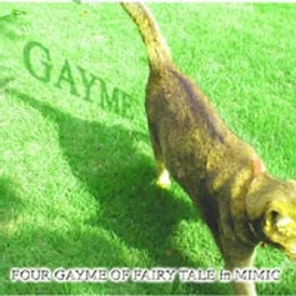 FOUR GAYME OF FAIRY TALE in MIMIC