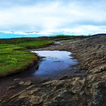 Music for Long Attention Spans, Vol. 20