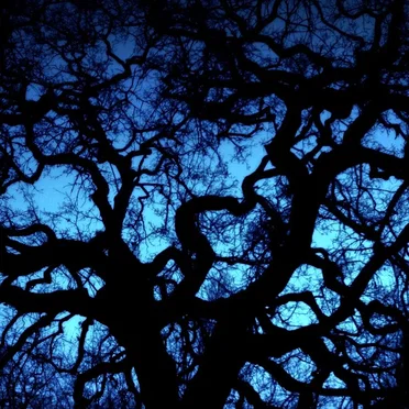Astral Cult by Astral Cult - album cover