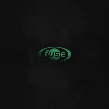 30yrs Fuse by Various Artists - album cover