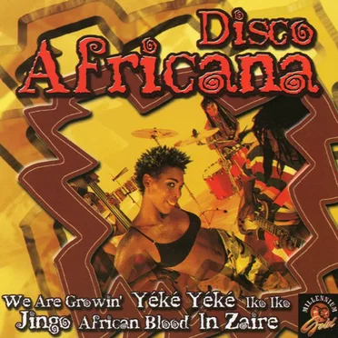 Disco Africana by The African Singers - album cover