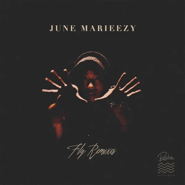 Fly (The Remixes)