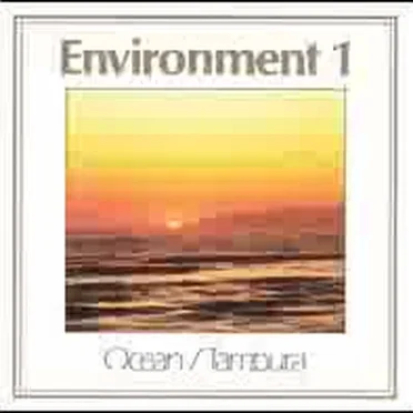 Environment 1