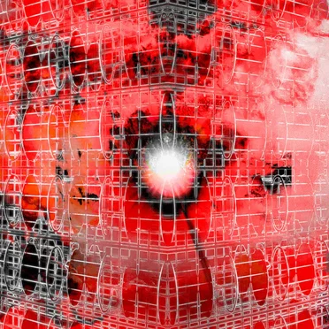 Shiny Beasts in Fractured Matrix 3