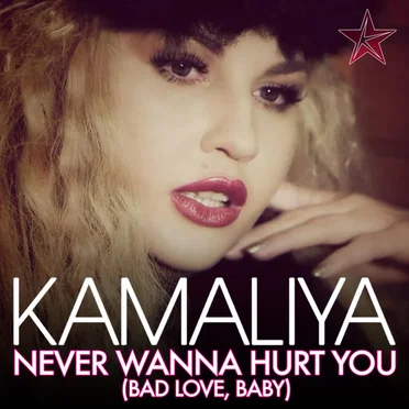 Never Wanna Hurt You