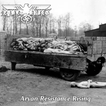 Aryan Resistance Rising
