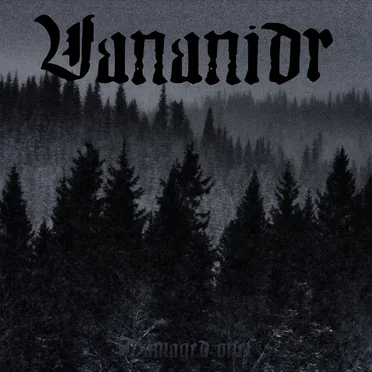 Damaged Ones