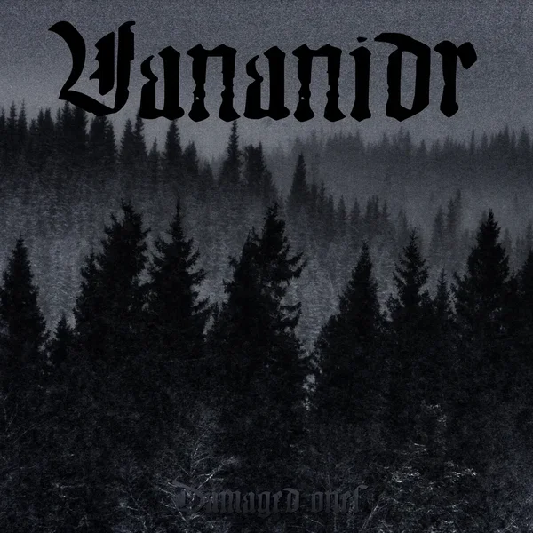 Damaged Ones