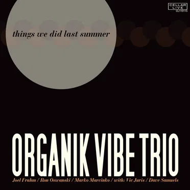 Things We Did Last Summer by Organik Vibe Trio - album cover