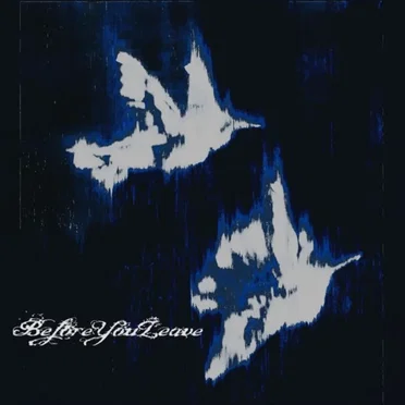 beforeyouleave by beforeyouleave - album cover