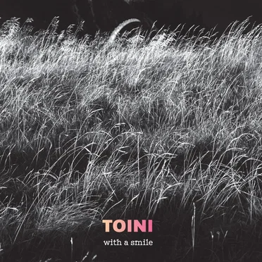 With a Smile by Toini - album cover