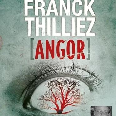 [Angor] by Franck Thilliez - album cover
