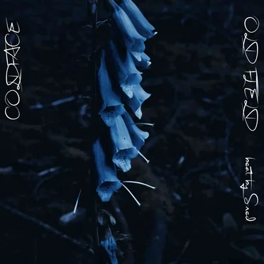 OLD FIELD by COLDFACE - album cover