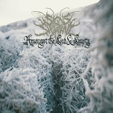 Tower of Torsos by Signs of the Swarm - album cover