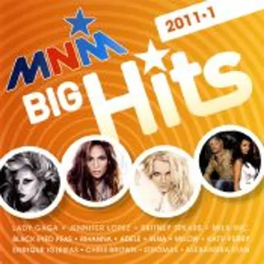 MNM Big Hits 2011.1 by Various Artists - album cover