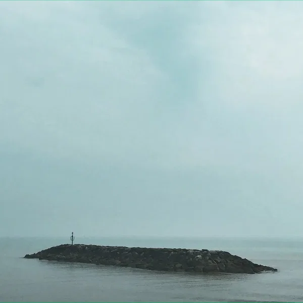 Seafields