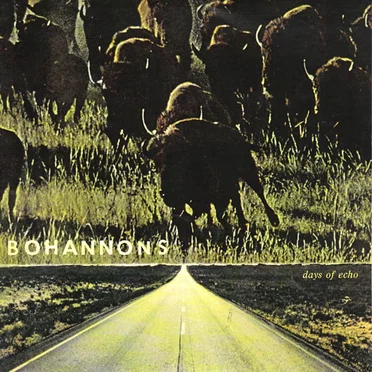 Days of Echo by Bohannons - album cover