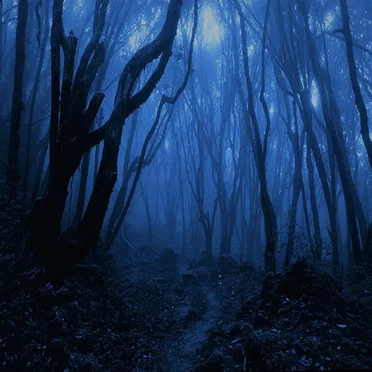 Mist