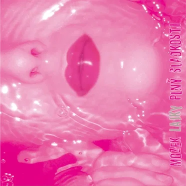 Mozek lajky plný sladkosti by Lajky - album cover