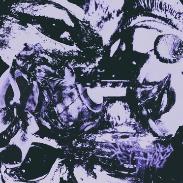 Sporadic Dystrophy by Kicked in the Head by a Horse - album cover