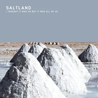 I Thought It Was Us but It Was All of Us by Saltland - album cover