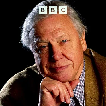 New Life Stories by David Attenborough - album cover