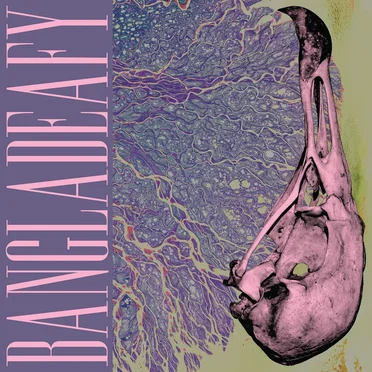 Vulture by Bangladeafy - album cover
