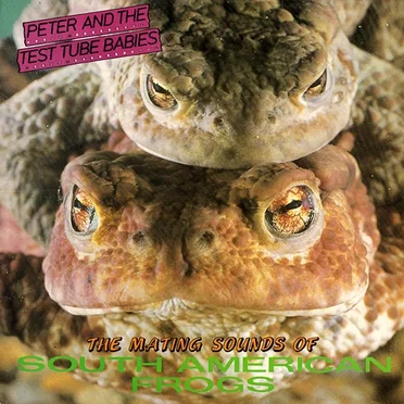 The Mating Sound of South American Frogs