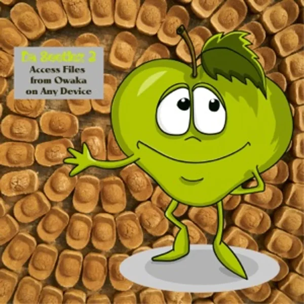 Acess Files from Owaka on Any Device