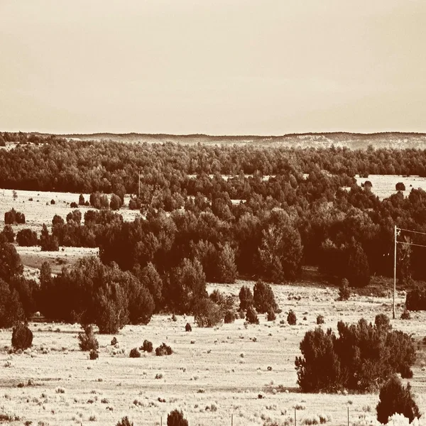 Third Beat Project